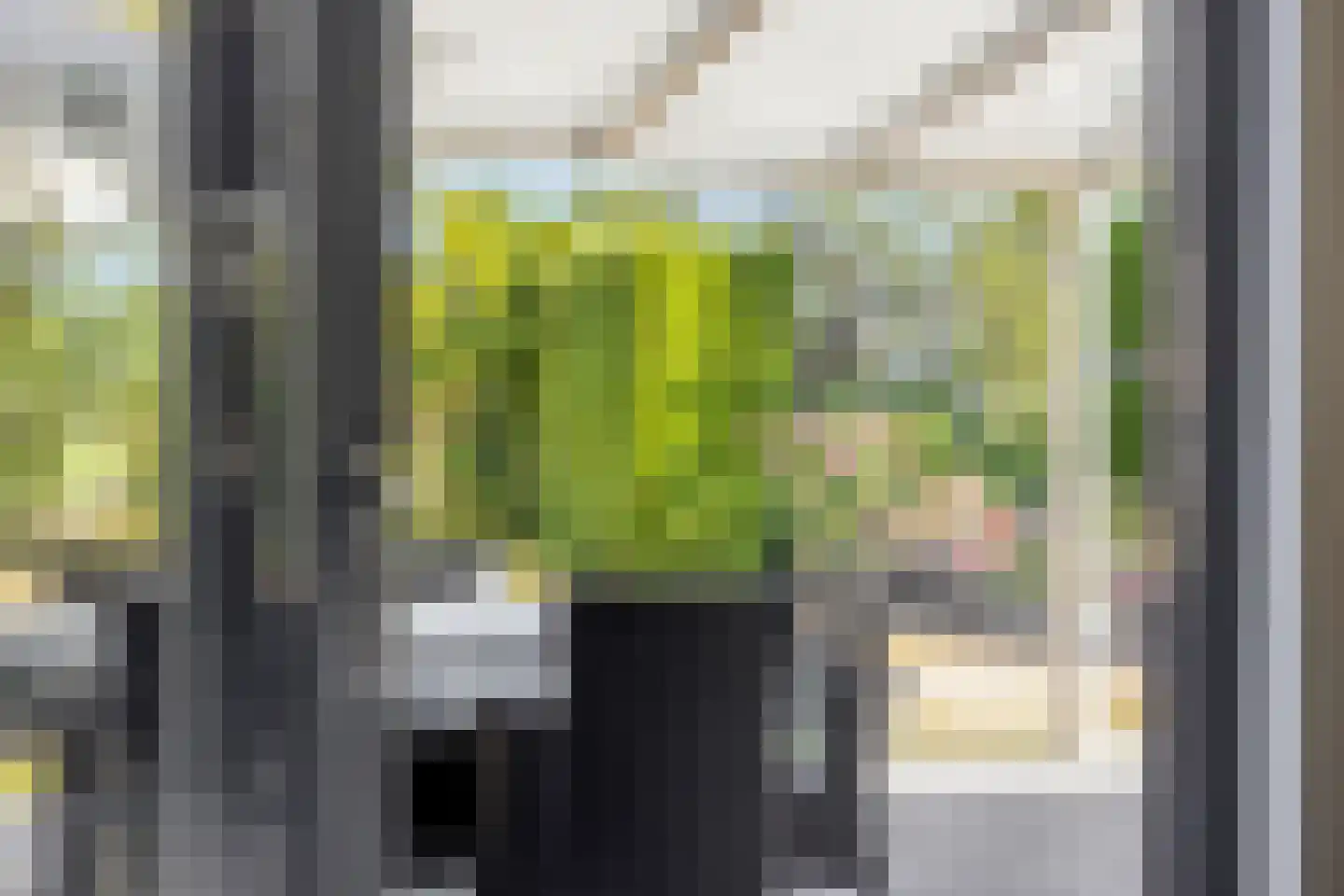 Brahmsstraat 10 Sint-Oedenrode thumbnail 19