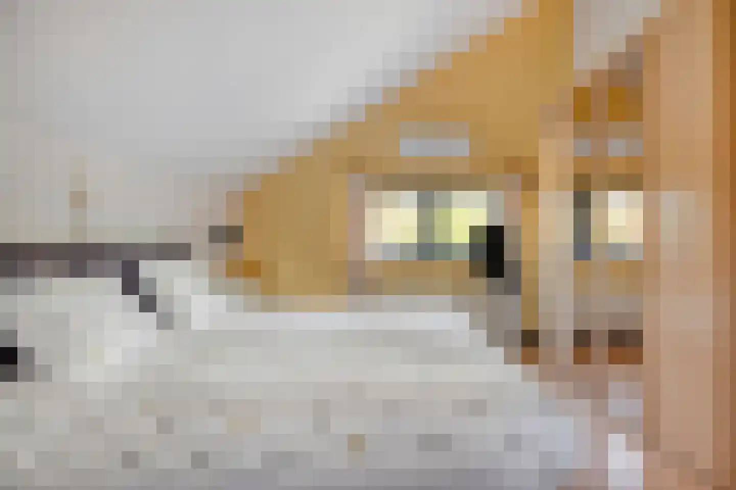 Brahmsstraat 10 Sint-Oedenrode thumbnail 26