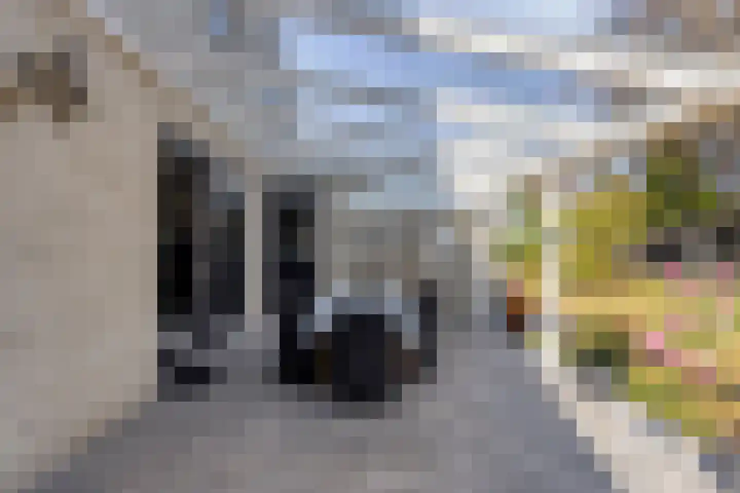 Brahmsstraat 10 Sint-Oedenrode thumbnail 42