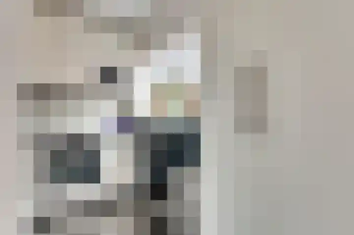 Brahmsstraat 101 Capelle aan den IJssel thumbnail 12