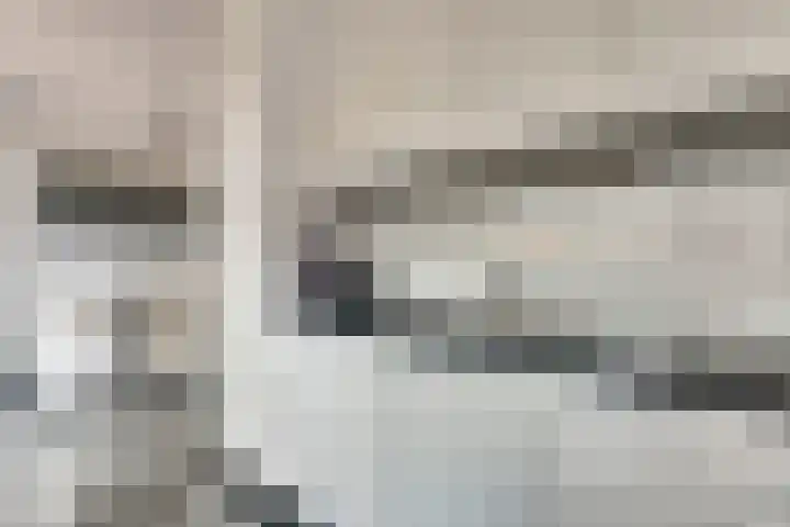 Brahmsstraat 101 Capelle aan den IJssel thumbnail 13