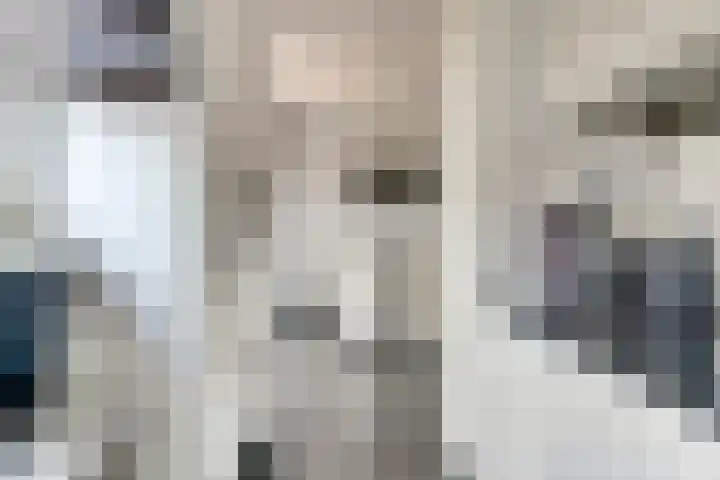 Brahmsstraat 101 Capelle aan den IJssel thumbnail 14