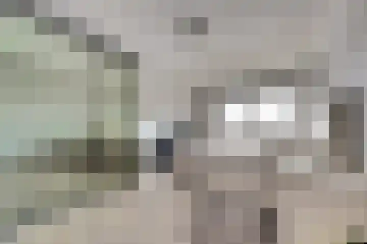 Brahmsstraat 101 Capelle aan den IJssel thumbnail 15