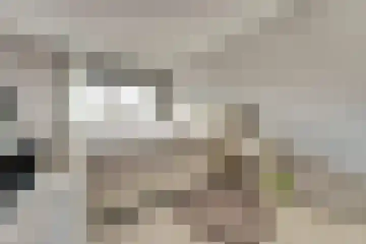 Brahmsstraat 101 Capelle aan den IJssel thumbnail 16