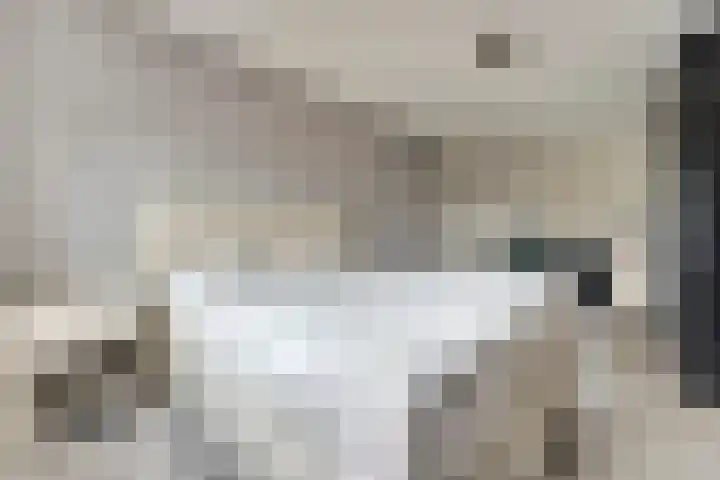 Brahmsstraat 101 Capelle aan den IJssel thumbnail 17
