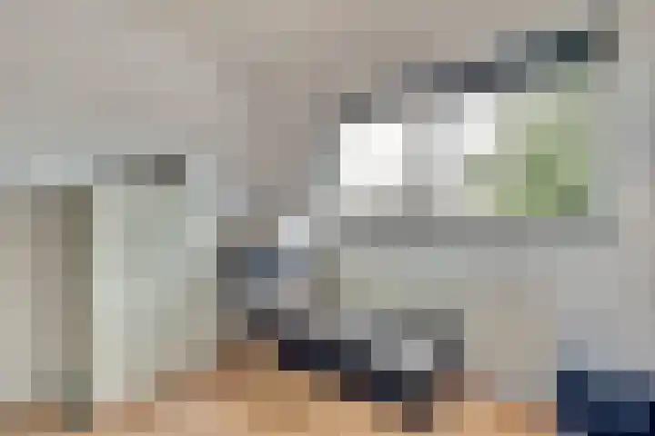 Brahmsstraat 101 Capelle aan den IJssel thumbnail 20
