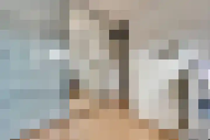Brahmsstraat 101 Capelle aan den IJssel thumbnail 21