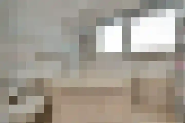 Brahmsstraat 101 Capelle aan den IJssel thumbnail 22