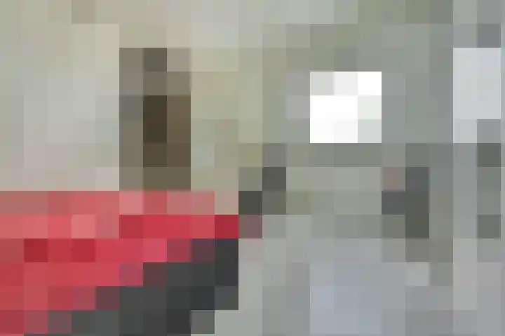 Brahmsstraat 101 Capelle aan den IJssel thumbnail 28
