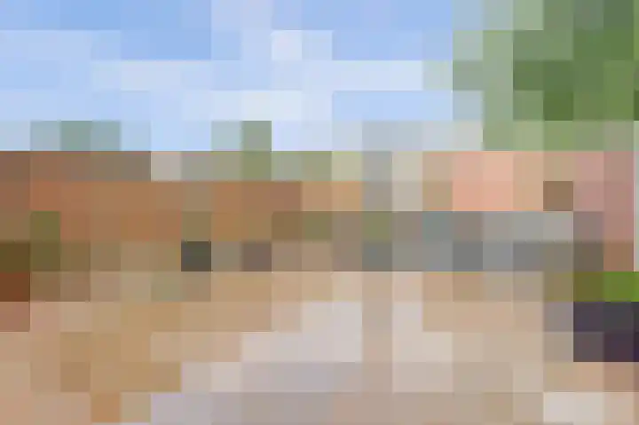 Brahmsstraat 101 Capelle aan den IJssel thumbnail 29