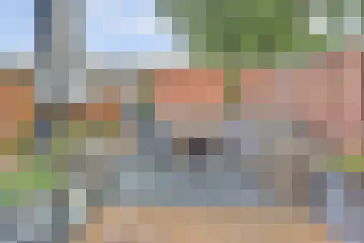 Brahmsstraat 101 Capelle aan den IJssel thumbnail 30