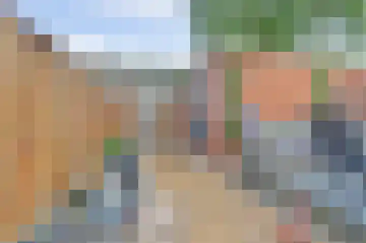Brahmsstraat 101 Capelle aan den IJssel thumbnail 32