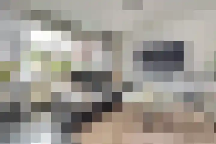 Brahmsstraat 101 Capelle aan den IJssel thumbnail 5