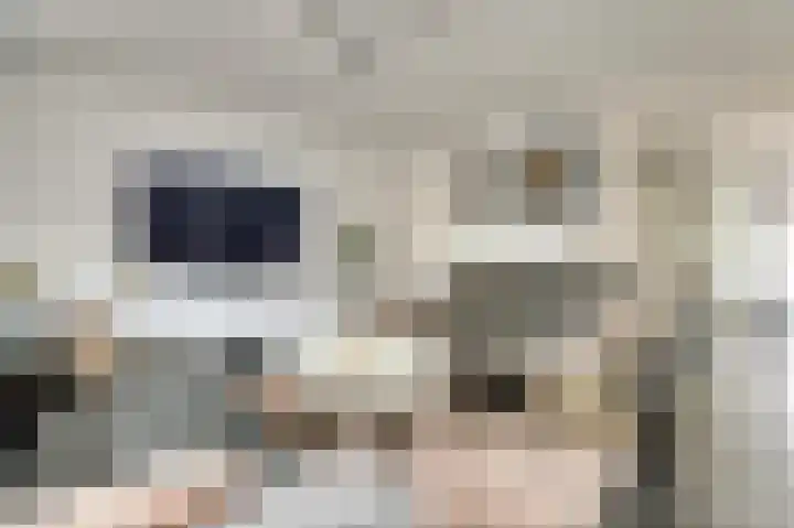 Brahmsstraat 101 Capelle aan den IJssel thumbnail 6