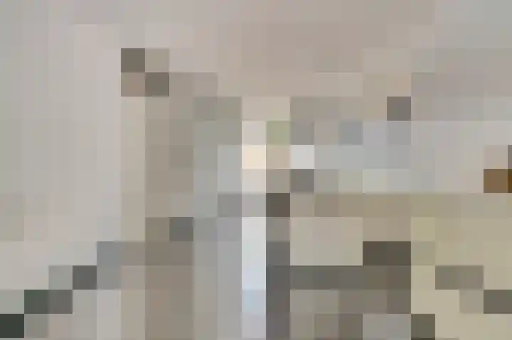 Brahmsstraat 101 Capelle aan den IJssel thumbnail 7