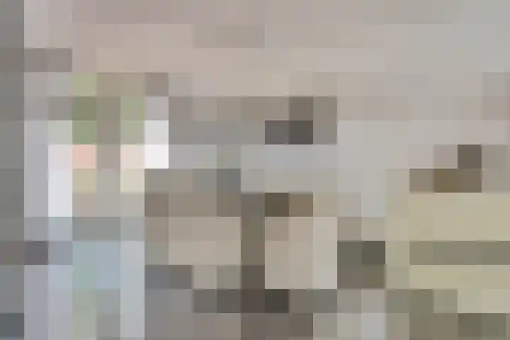 Brahmsstraat 101 Capelle aan den IJssel thumbnail 8