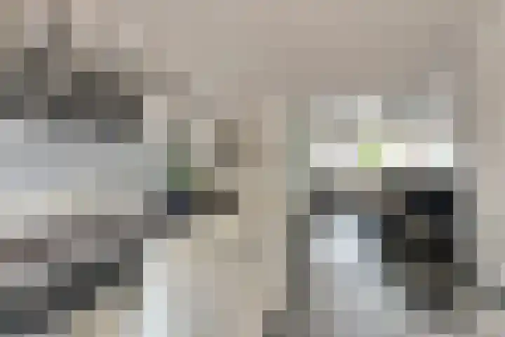 Brahmsstraat 101 Capelle aan den IJssel thumbnail 9