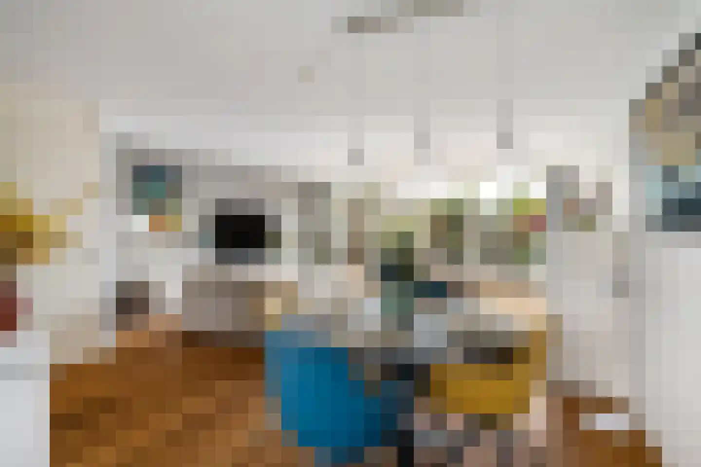 Brahmsstraat 102 Capelle aan den IJssel thumbnail 11