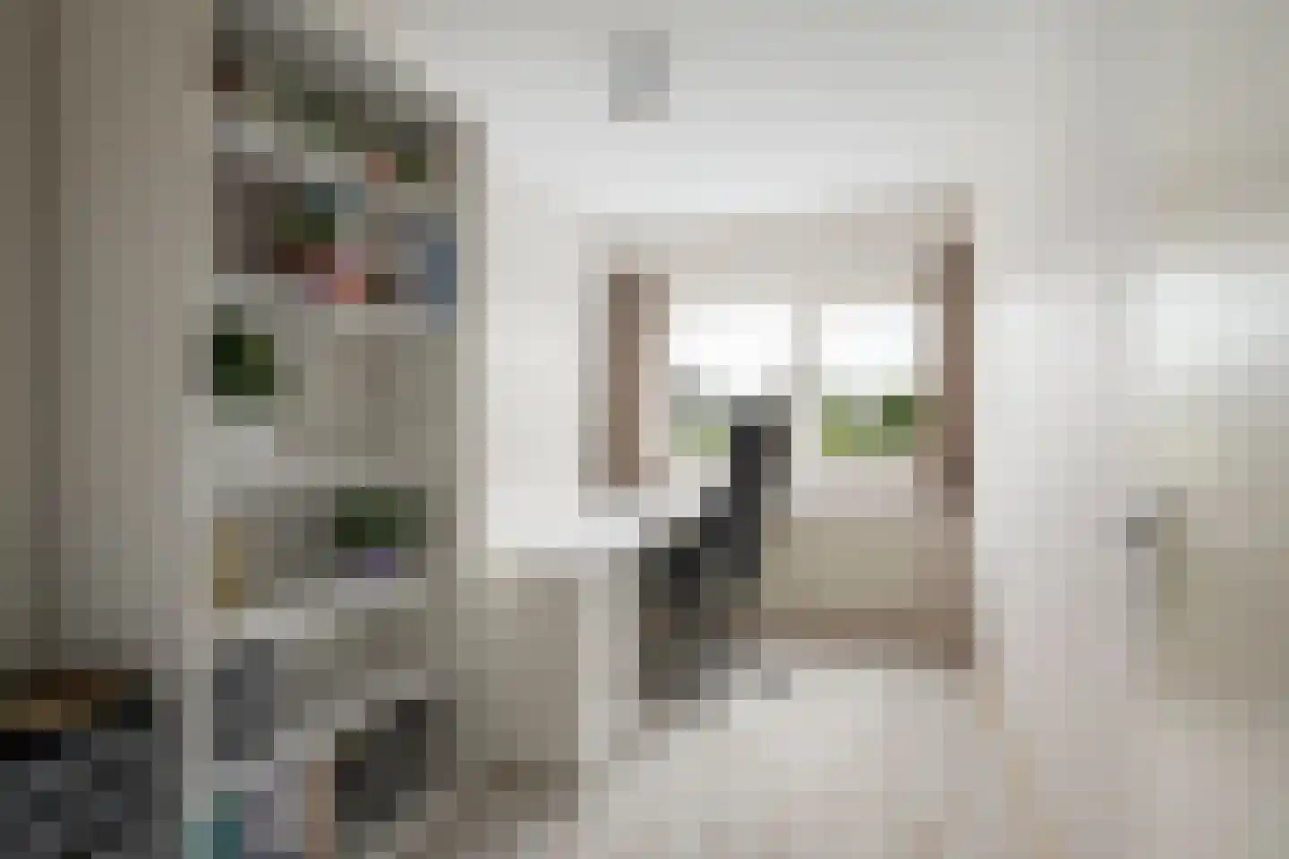 Brahmsstraat 102 Capelle aan den IJssel thumbnail 22