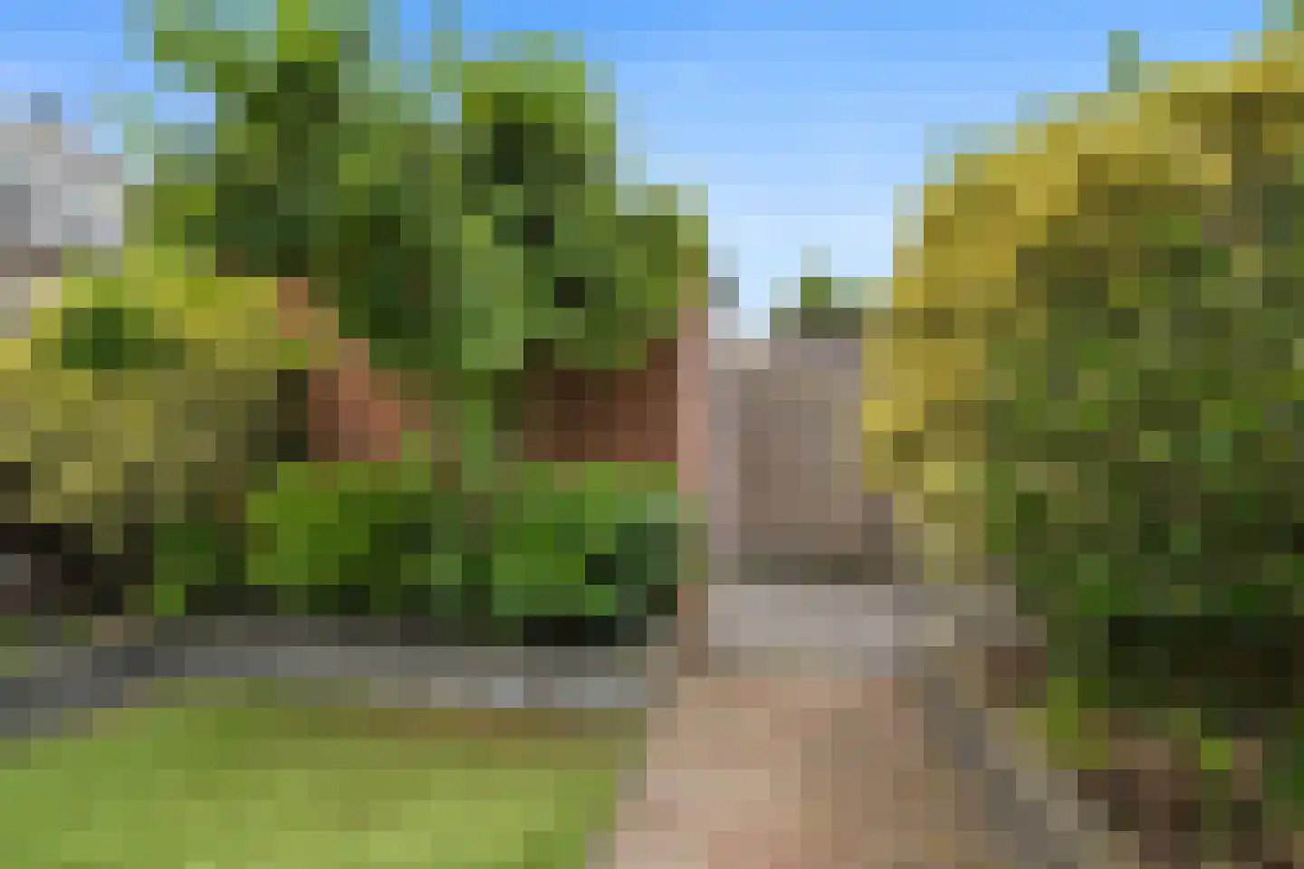 Brahmsstraat 102 Capelle aan den IJssel thumbnail 31