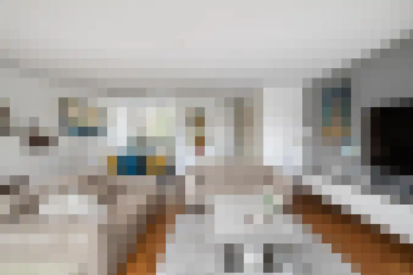 Brahmsstraat 102 Capelle aan den IJssel thumbnail 9