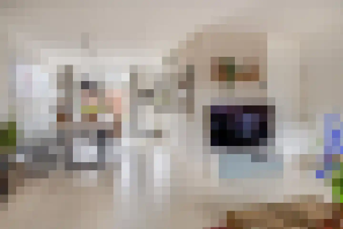 Brahmsstraat 103 Capelle aan den IJssel thumbnail 10
