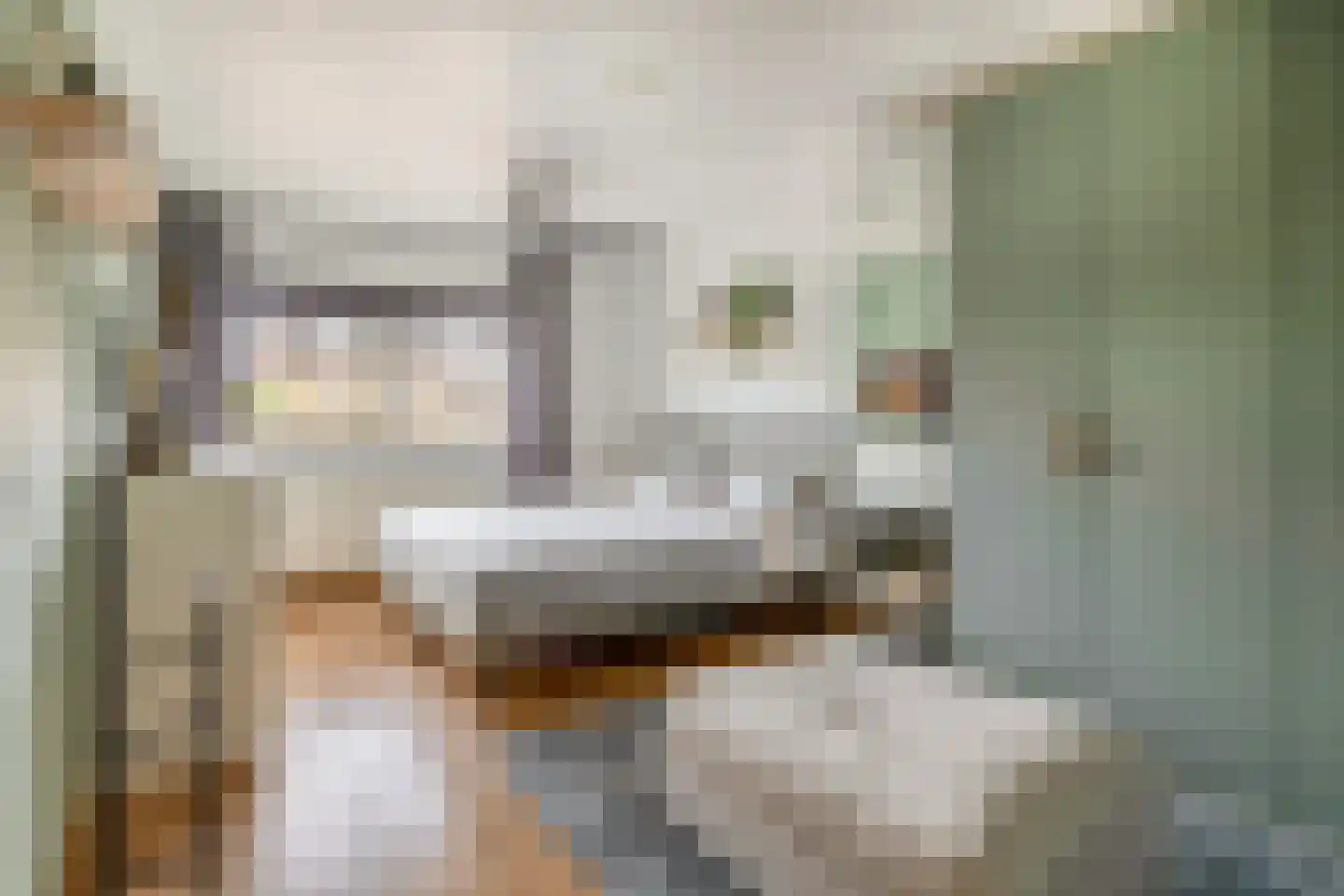Brahmsstraat 103 Capelle aan den IJssel thumbnail 20