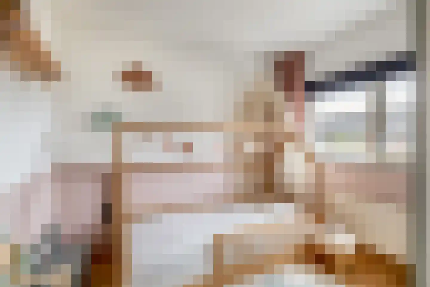 Brahmsstraat 103 Capelle aan den IJssel thumbnail 25