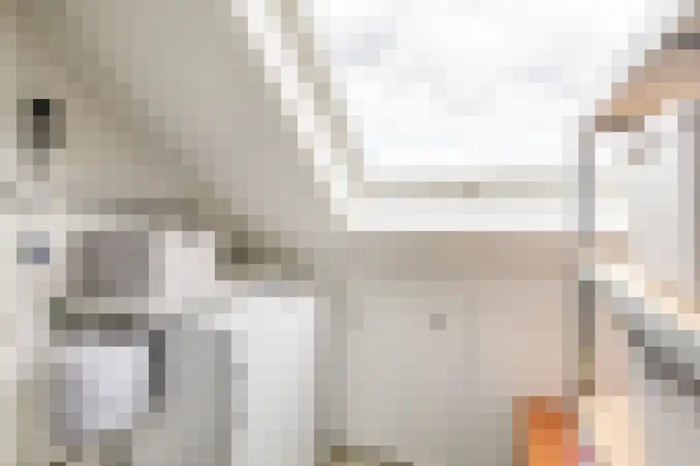 Brahmsstraat 103 Capelle aan den IJssel thumbnail 32