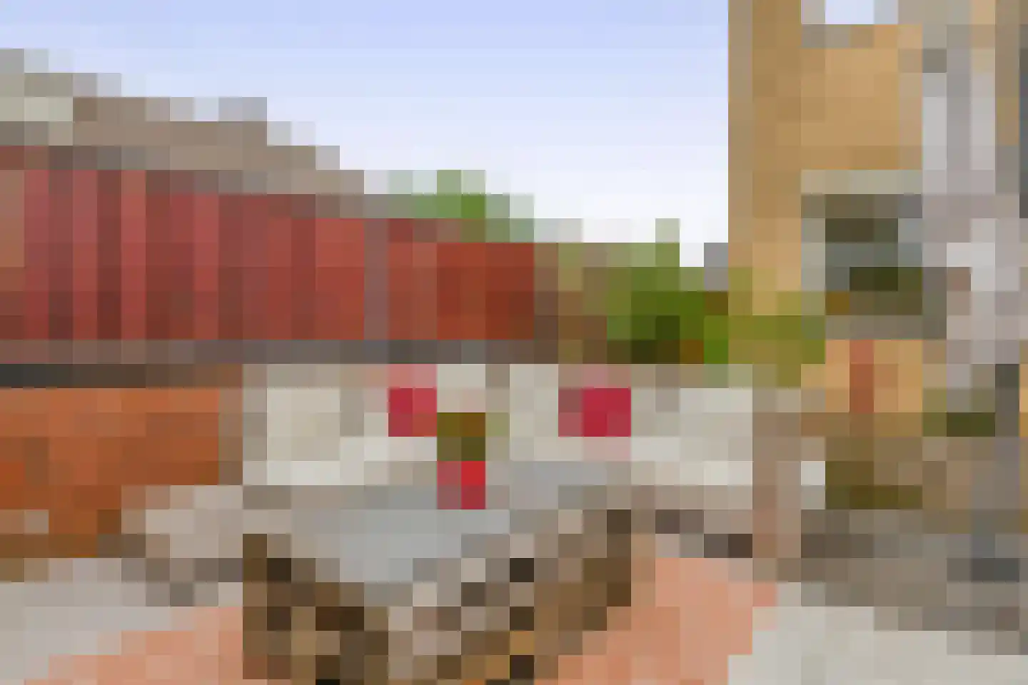 Brahmsstraat 103 Capelle aan den IJssel thumbnail 38