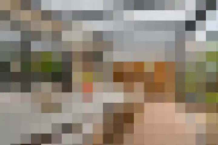 Brahmsstraat 106 Purmerend thumbnail 23