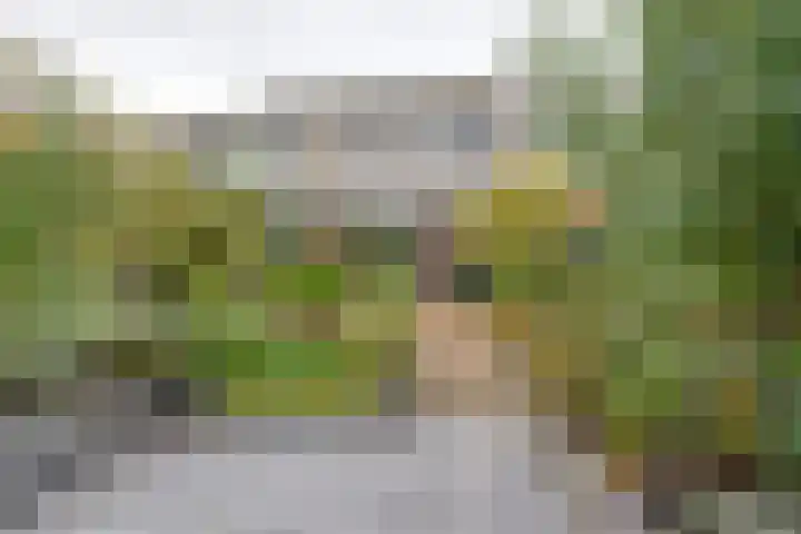 Brahmsstraat 106 Purmerend thumbnail 32