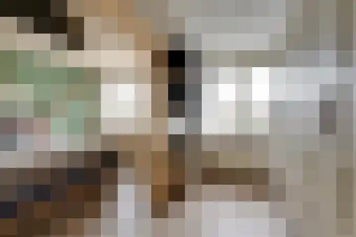 Brahmsstraat 106 Purmerend thumbnail 38