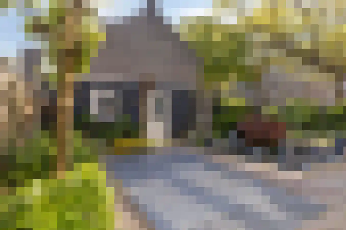 Brahmsstraat 108 Tilburg thumbnail 47