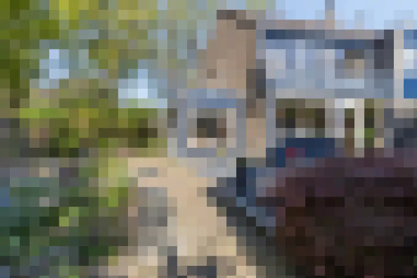 Brahmsstraat 108 Tilburg thumbnail 52