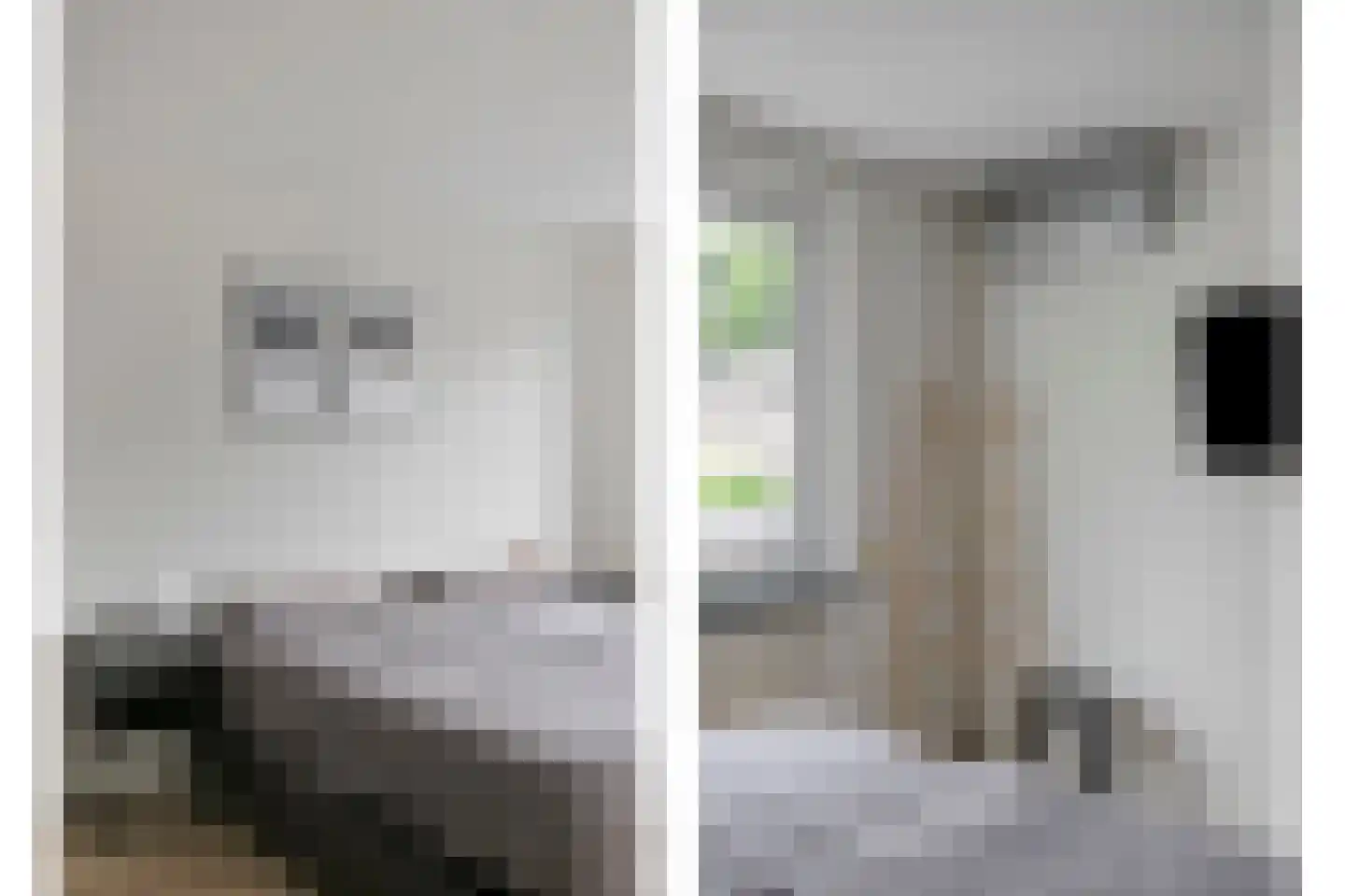 Brahmsstraat 109 Tilburg thumbnail 19