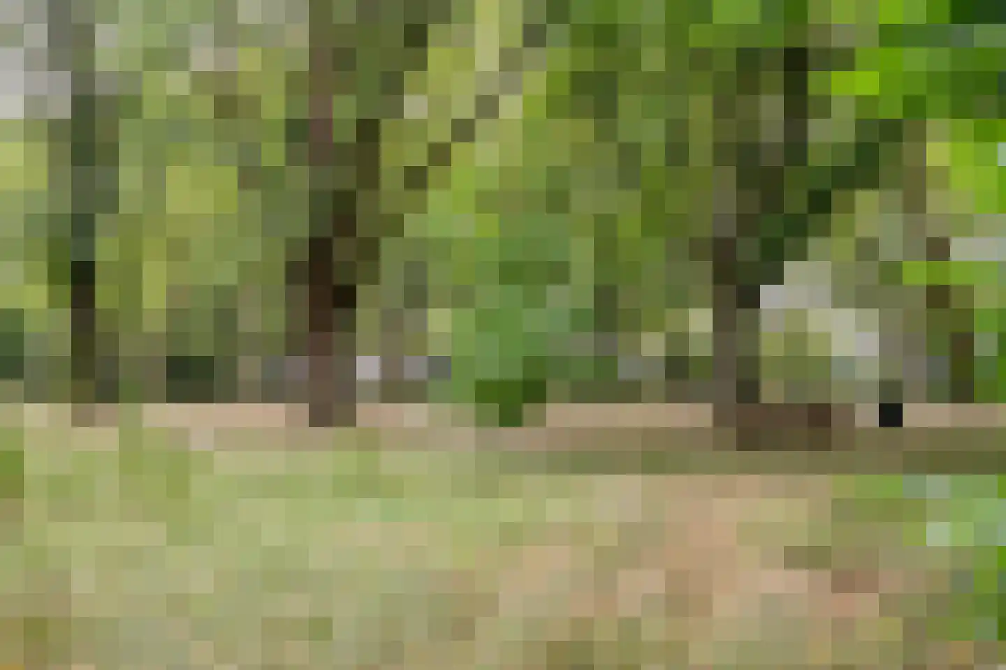 Brahmsstraat 109 Tilburg thumbnail 39
