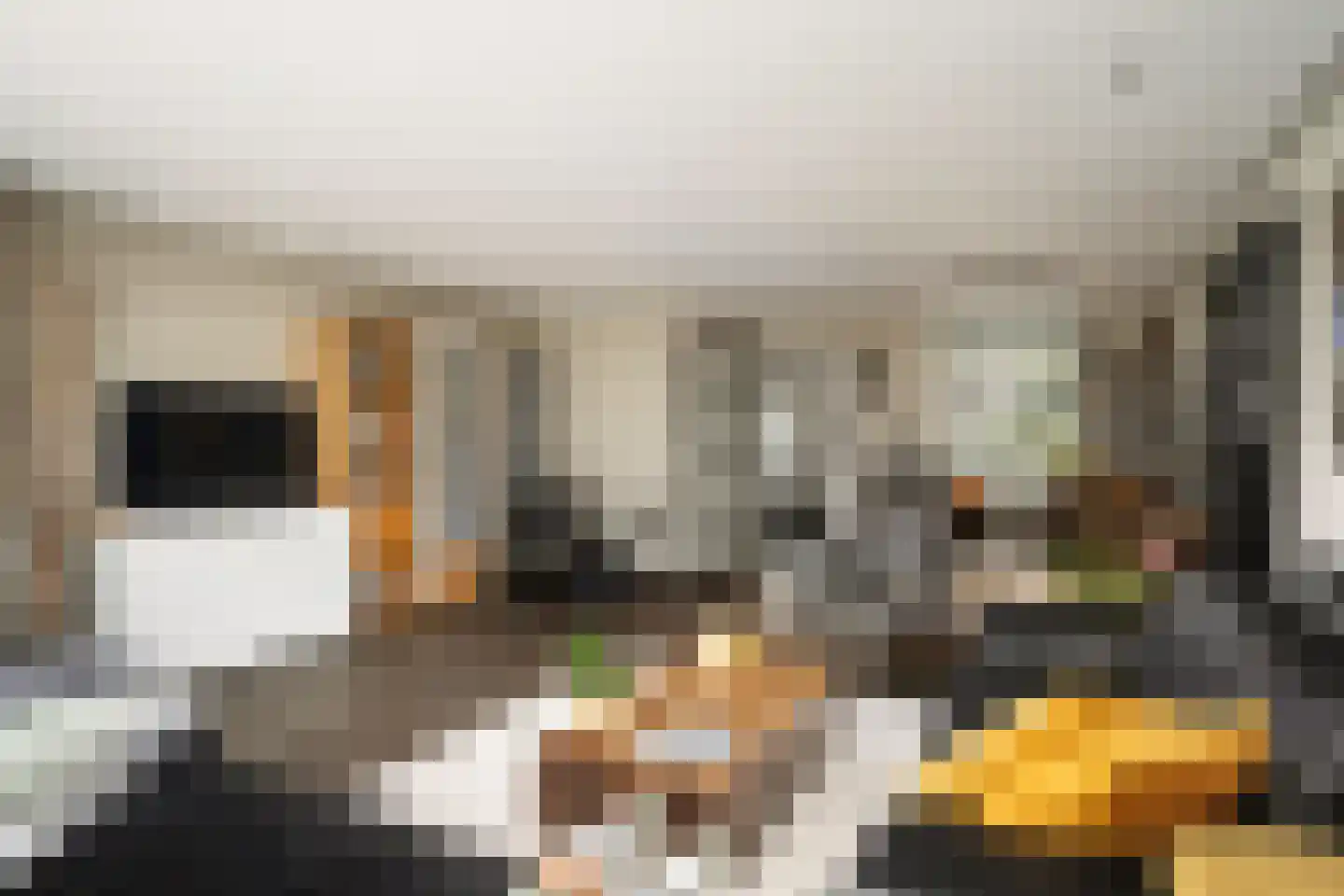 Brahmsstraat 11 Capelle aan den IJssel thumbnail 18
