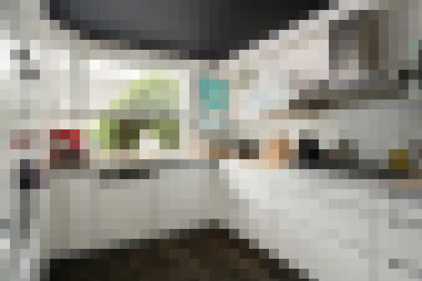 Brahmsstraat 11 Capelle aan den IJssel thumbnail 20