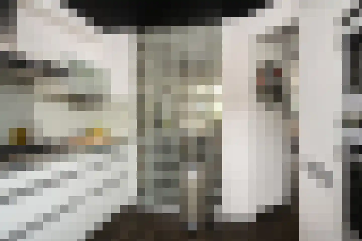 Brahmsstraat 11 Capelle aan den IJssel thumbnail 24