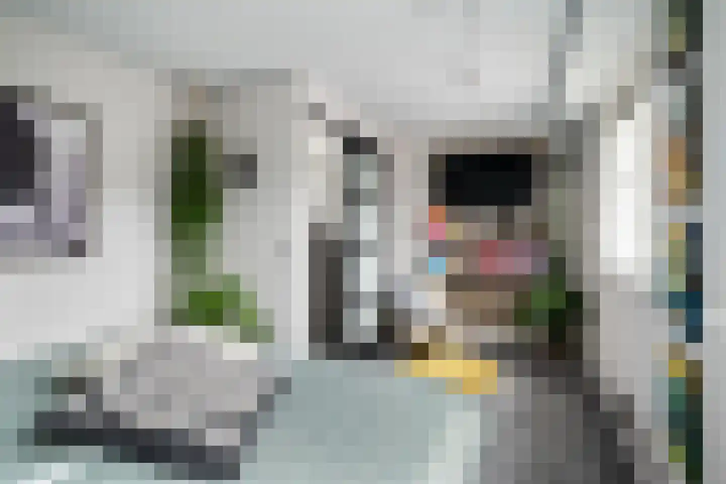 Brahmsstraat 11 Capelle aan den IJssel thumbnail 27