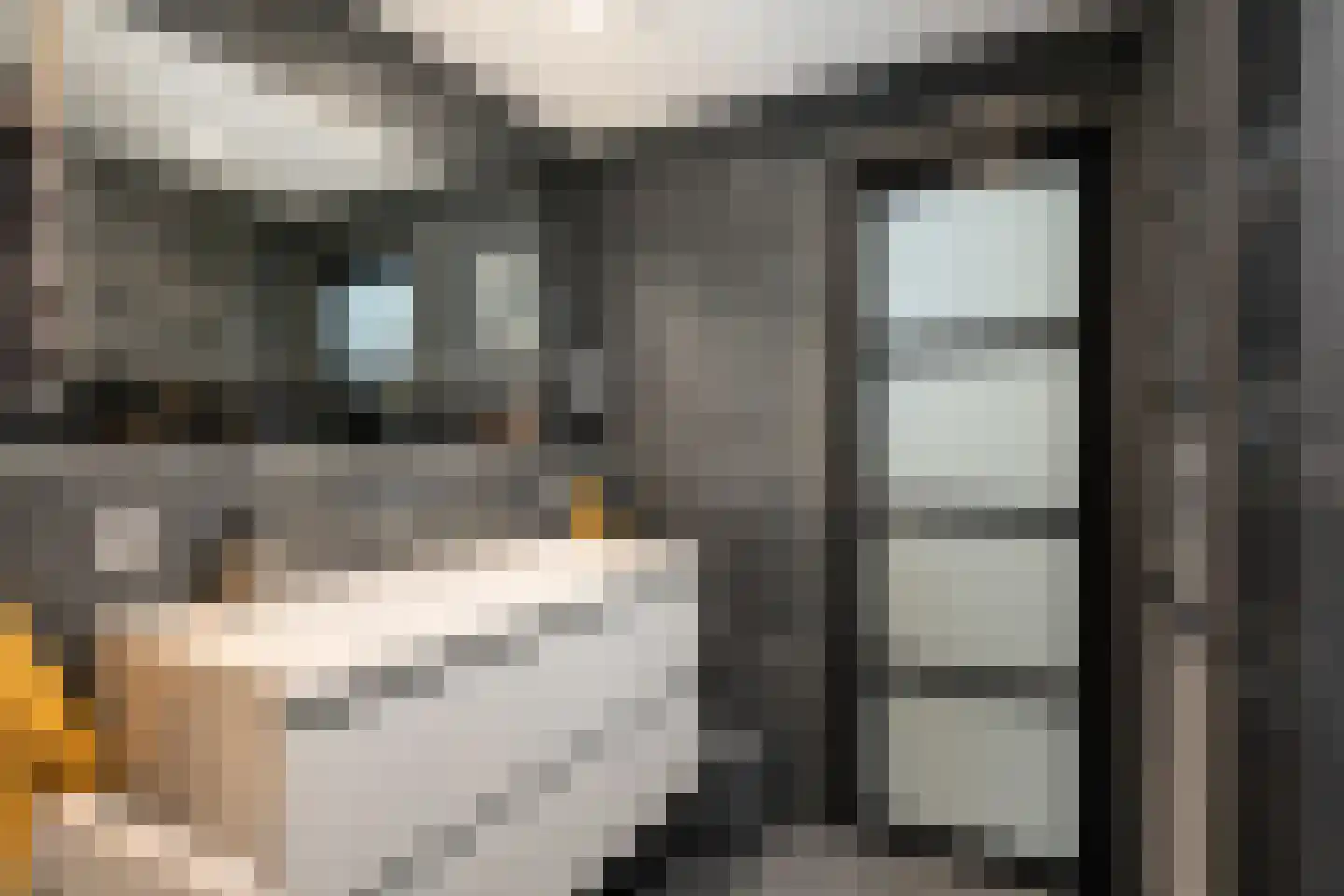 Brahmsstraat 11 Capelle aan den IJssel thumbnail 29