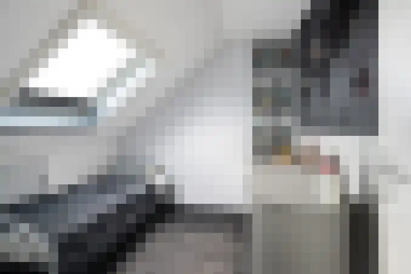 Brahmsstraat 11 Capelle aan den IJssel thumbnail 42