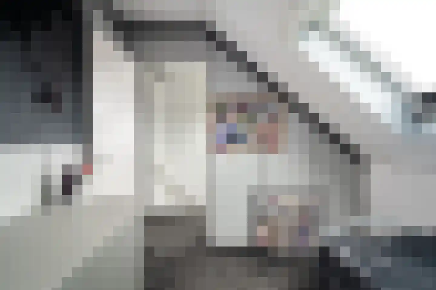 Brahmsstraat 11 Capelle aan den IJssel thumbnail 43