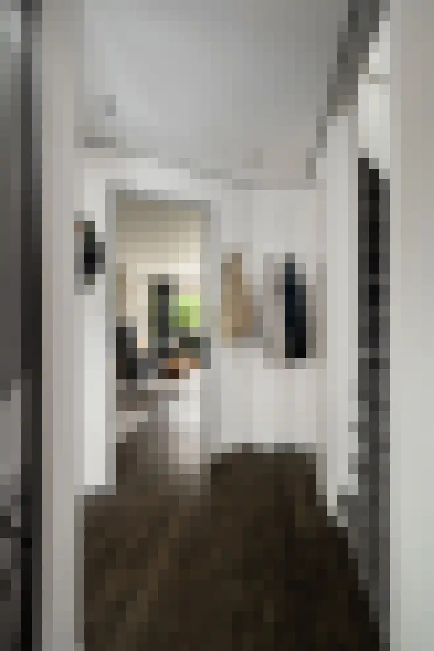Brahmsstraat 11 Capelle aan den IJssel thumbnail 45