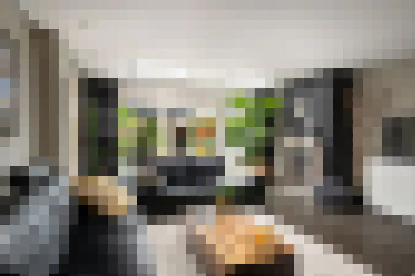 Brahmsstraat 11 Capelle aan den IJssel thumbnail 5