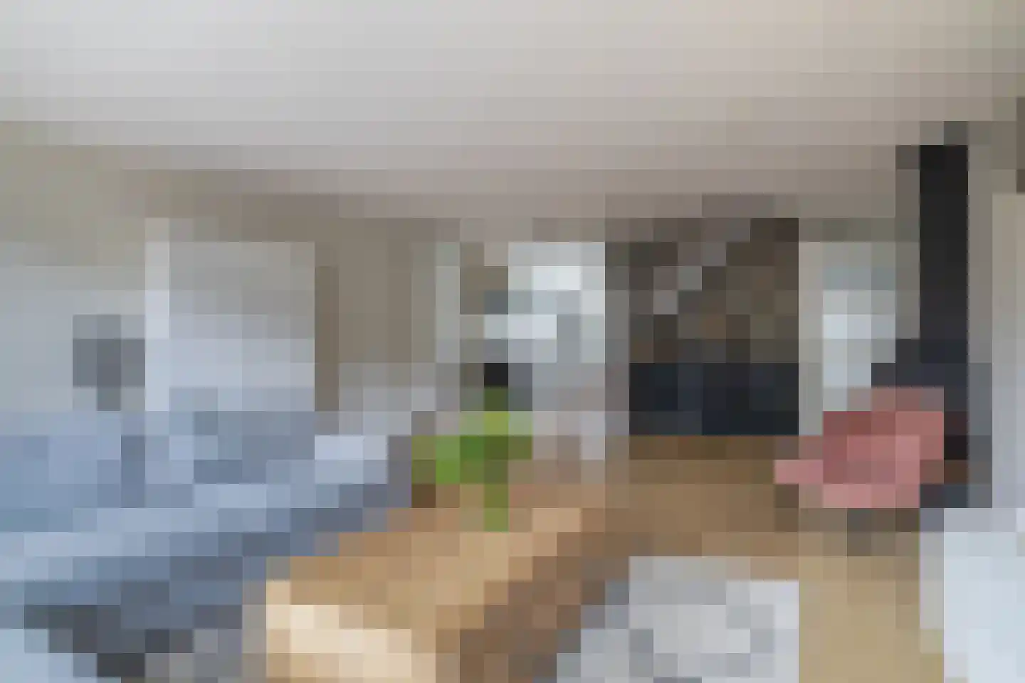 Brahmsstraat 117 Capelle aan den IJssel thumbnail 10