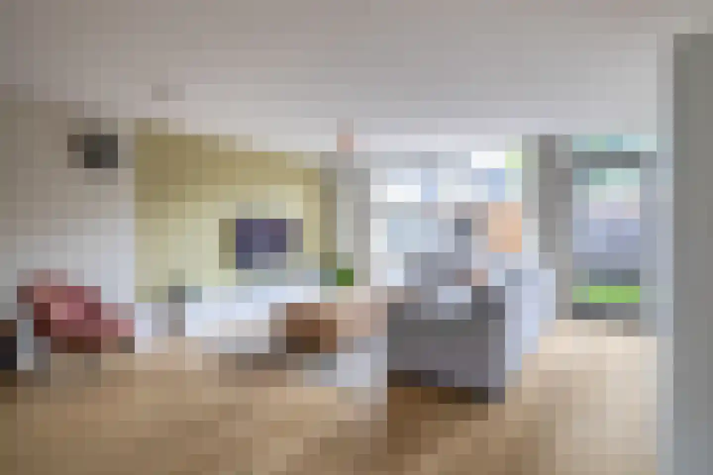 Brahmsstraat 117 Capelle aan den IJssel thumbnail 11
