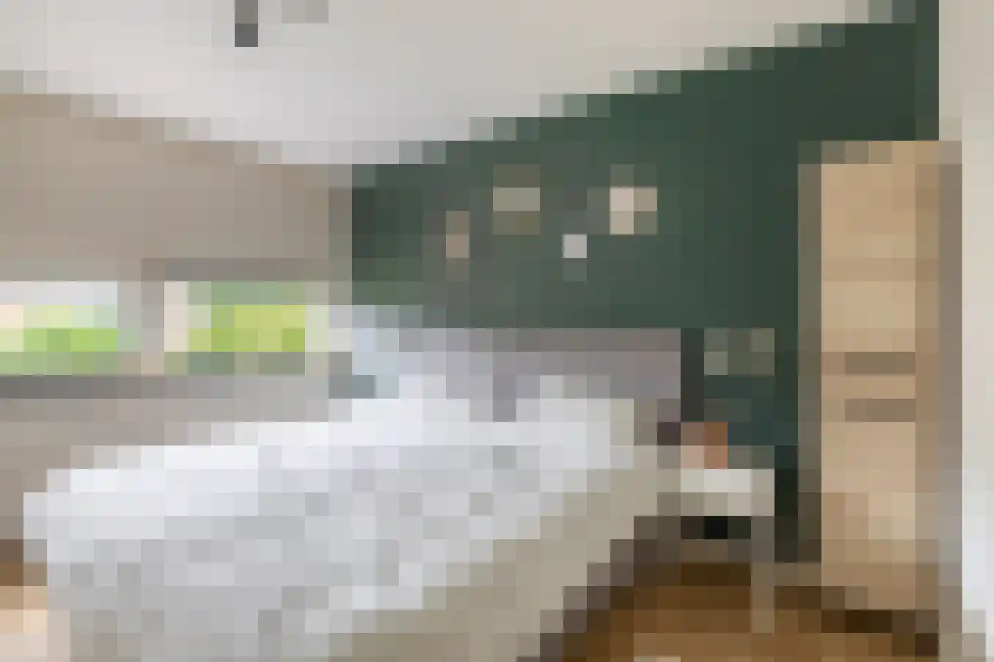 Brahmsstraat 117 Capelle aan den IJssel thumbnail 19