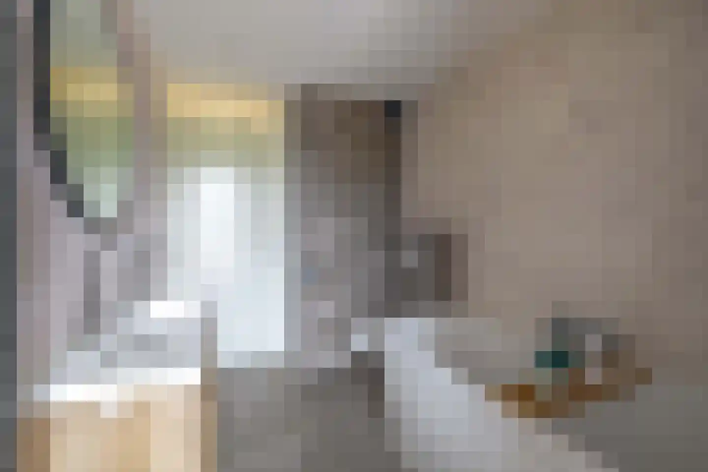 Brahmsstraat 117 Capelle aan den IJssel thumbnail 22